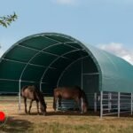 Carpa para Ganado 6x6 PVC 2300 Verde oscuro